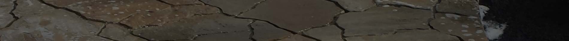 top-banner